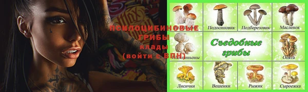 крисы Балахна